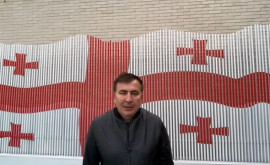 Саакашвили прилетел в Грузию спустя восемь лет эмиграции
