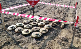 На освобожденных территориях Азербайджана обезвредили сотни мин 
