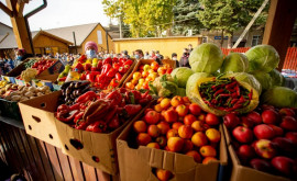 В Слобозия Маре открылся самый большой рынок на юге Молдовы 