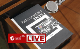 Parlamentul examinează Moțiunea simplă împotriva lui Litvinenco LIVE TEXT
