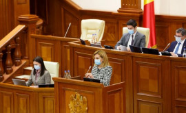 Депутаты одобрили проект Соглашения о стратегическом партнерстве между Молдовой и Великобританией