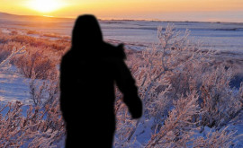 Оленевод два месяца выживал в тайге на зимовье в полном одиночестве