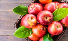 În septembrie şi octombrie Republica Moldova a exportat mai multe mere faţă de anul precedent