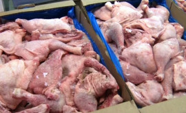 Salmonella găsită în zeci de tone de carne de pasăre în Chișinău importată din Polonia