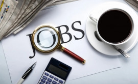 Рынок труда Сколько вакансий доступно в Молдове на сегодняшний день