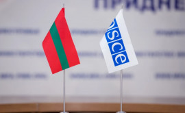 В МИД России оценили роль ОБСЕ в приднестровском урегулировании 