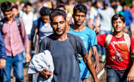 Consiliul Europei cere Croaţiei să ia măsuri imediate împotriva relelor tratamente aplicate migranţilor