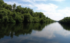 Utilizarea durabilă a resurselor de apă din Prut Nistru și Dunăre pe agenda guvernului