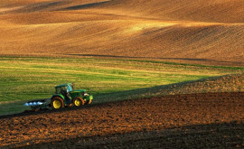 Молдова получит грант в размере 31 млн на развитие устойчивого сельского хозяйства 