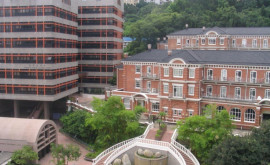 Университет Гонконга убрал со своей территории правозащитную скульптуру Столп позора