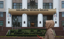 Запущен информационный портал госзакупок парламента Молдовы