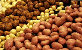 Moldova este al treilea cel mai mare importator de cartofi din Ucraina