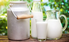 Сырое молоко может быть опасно для здоровья