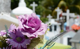 Declarație Coroanele de flori artificiale din cimitire sînt o sursă de poluare