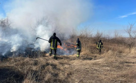 Mai multe hectare de vegetație stinse de pompieri 
