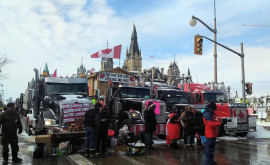 Власти Канады применят закон о ЧС для прекращения протестов дальнобойщиков