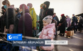 Răspunsurile Ambasadei Ucrainei la cele mai frecvente întrebări ale refugiaților