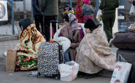 Украинские беженцы ищут работу