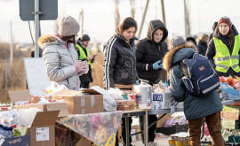 Spatari despre criza refugiaților Moldova a primit la ea acasă practic o mică Olandă