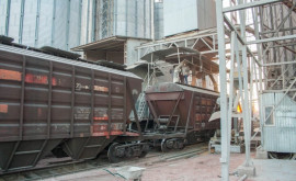 Ucraina ia în considerare să reia exportul de cereale pe calea ferată prin Republica Moldova