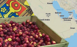 Care sunt noile destinații de export a producătorilor de mere