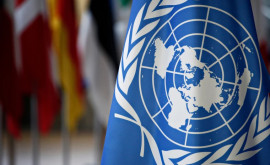 Совет ООН по правам человека создал комиссию по расследованию преступлений России в Украине