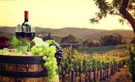 În anul 2021 vinurile din Republica Moldova au ajuns în 71 de țări
