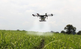 Agricultorii pot obține subvenții pentru a cumpăra drone