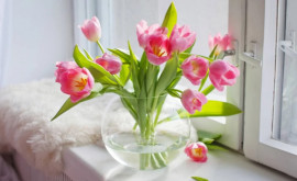 10 способов подольше сохранить тюльпаны в вазе