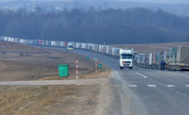 На границе Польши и Беларуси изза вступивших в силу санкций застряли сотни фур