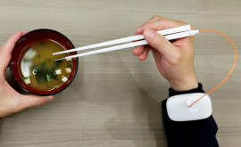Cercetătorii japonezi au creat un prototip de beţişoare computerizate care potenţează gustul sărat