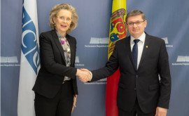 Grosu a discutat cu președintele Adunării Parlamentare a OSCE