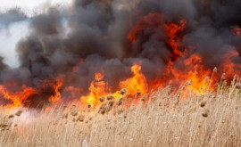 На молдавскоукраинской границе вспыхнули пожары