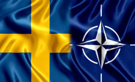 Когда Швеция может подать заявку на вступление в НАТО
