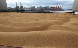 Kremlinul neagă acuzațiile de blocare a exporturilor de cereale din Ucraina