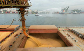 В Стамбуле согласуют механизм вывоза зерна из Украины