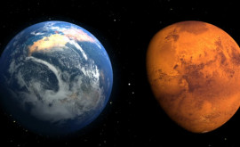 Эволюционисты описали зарождение жизни на Земле и на Марсе