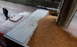 Rusia dispusă să discute despre criza aprovizionării cu cereale cu ONU Turcia și Ucraina