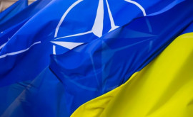 NATO pregătește un plan de transfer al armatei ucrainene la armele alianței