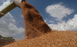 Макрон Разрабатывается маршрут вывоза зерна из Украины через Румынию