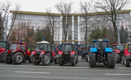 Fermierii fără rezultate după întrevederea cu Natalia Gavrilița