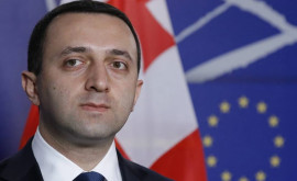 Гарибашвили Грузия больше Украины и Молдовы заслуживала статус кандидата в члены ЕС