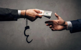 CNA Eliberarea frauduloasă a actelor permisive de către ANSP afectează grav mediul de afaceri 