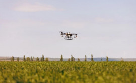 Dronele agricole o inovație tot mai utilizată de agricultorii din Republica Moldova
