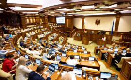 Măsuri pentru eficientizarea activității ARBI votate în prima lectură de Parlament