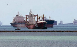 Около 80 судов ожидают загрузки зерном в портах Одесской области