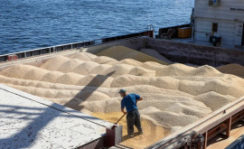 Au devenit cunoscute detaliile controlului asupra exportului de cereale din Ucraina