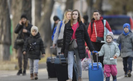 Сколько украинских беженцев находится на территории нашей страны 