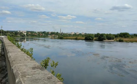 Как выглядит река Днестр во время засухи