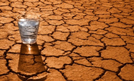 Autoritățile franceze au limitat consumul de apă din cauza pericolului secetei